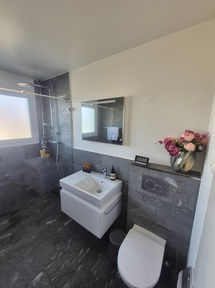 Casa di 7 locali in affitto a Richterswil - immagine 1/8