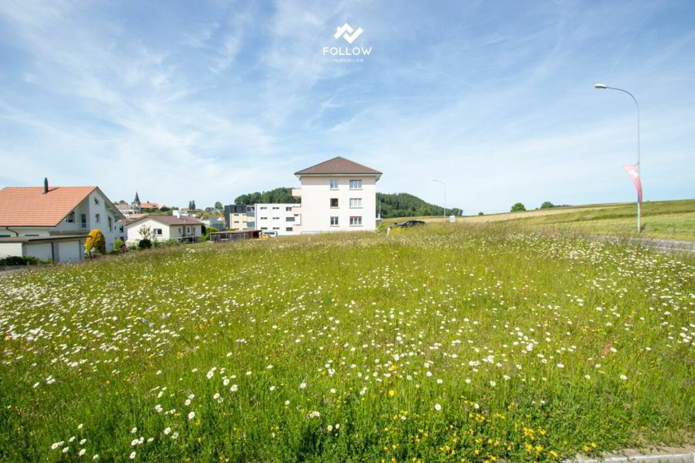 Casa di null locali in vendita a Heitenried - immagine 1/13