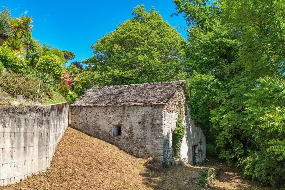 Terreno di null locali in vendita a Minusio - immagine 1/9