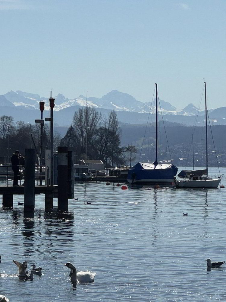 Maison null pièces à acheter à Zurich - image 1/1