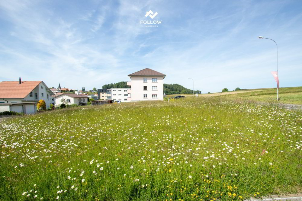 Altro di null locali in vendita a Heitenried - immagine 1/13