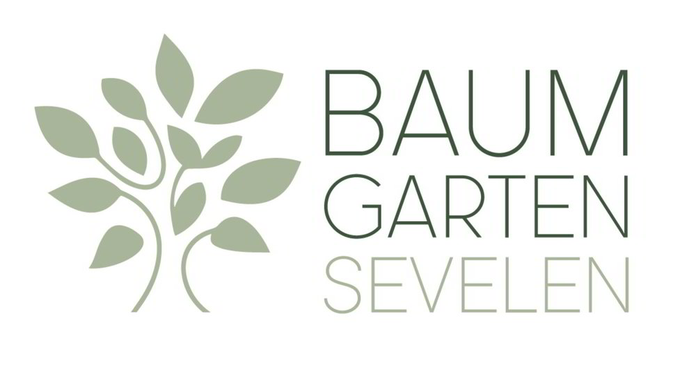 4.5 Zimmer Haus zum verkaufen in Sevelen - Bild 1/12