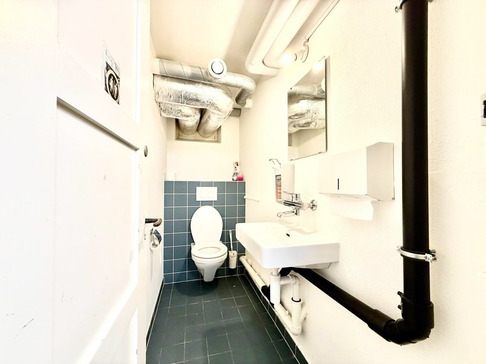 null rooms Office & Commercial for rent in Zürich - image 1/10