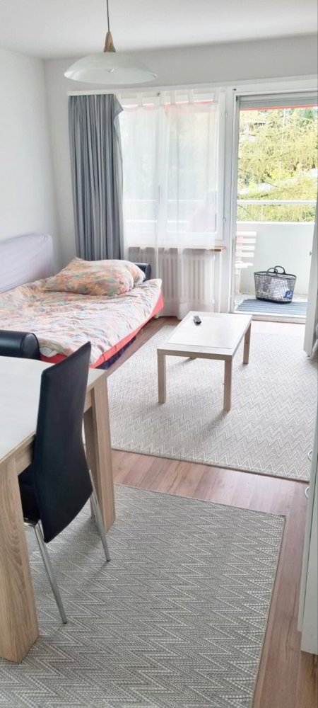 Appartement 1 pièces à louer à Trimbach - image 1/4