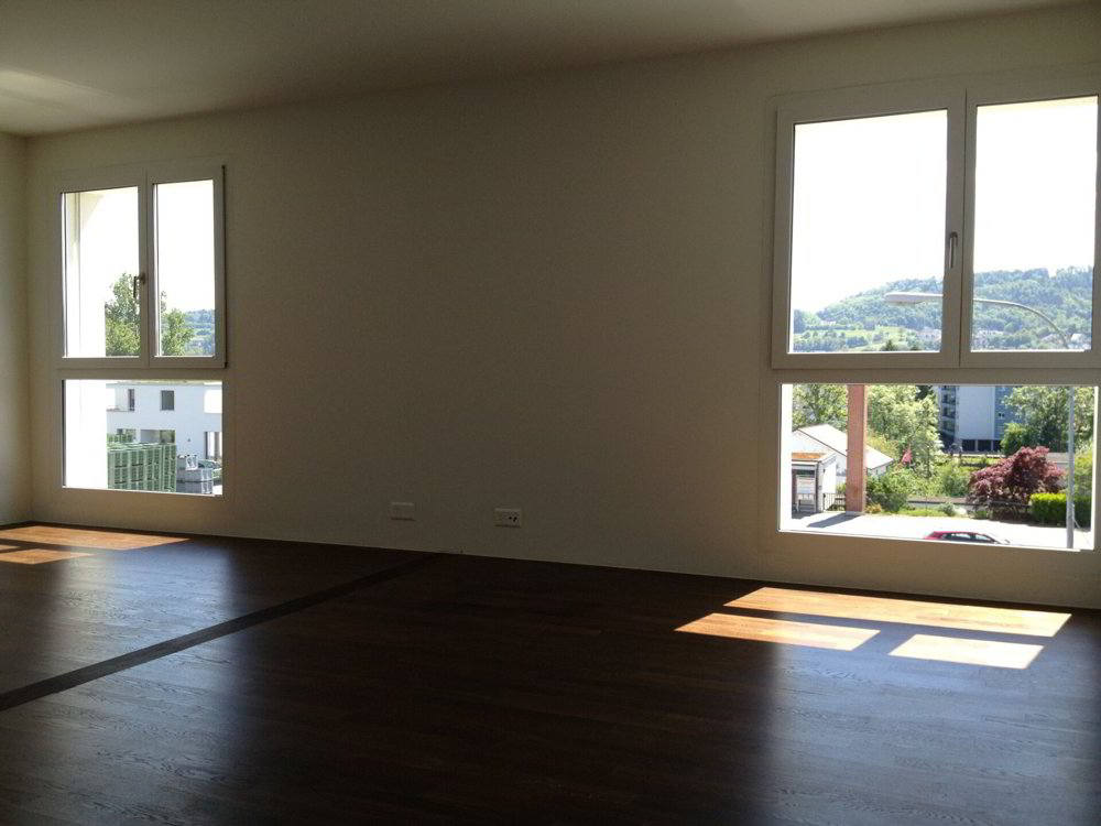 Appartement 5.5 pièces à louer à Mellingen - image 1/14