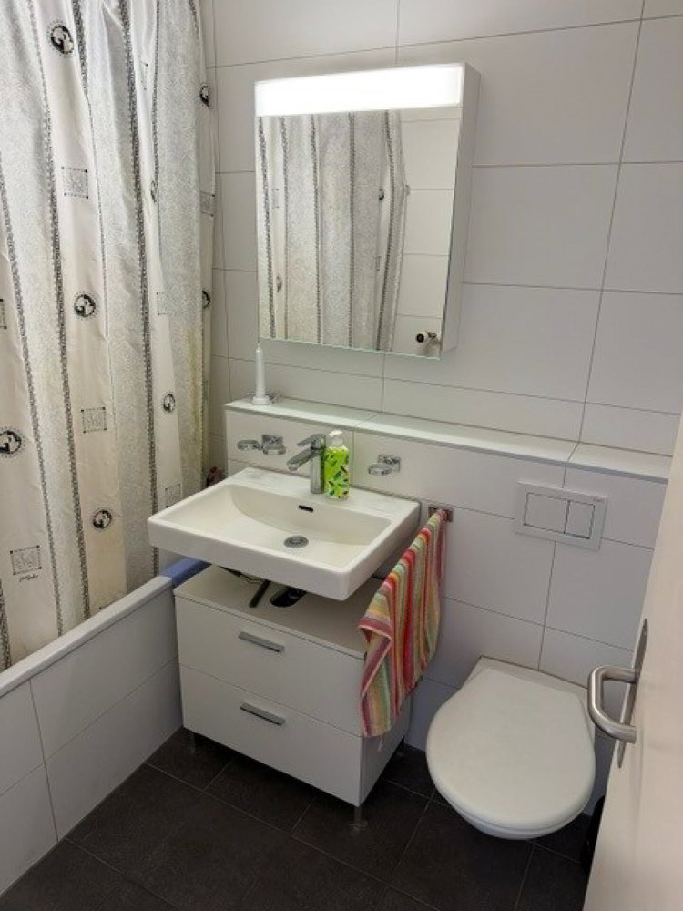 Appartement 1 pièces à louer à Lenzburg - image 1/6