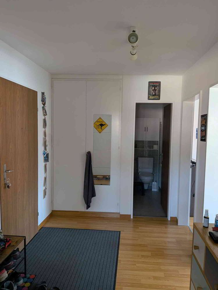 Appartement 3 pièces à louer à Niedergösgen - image 1/10