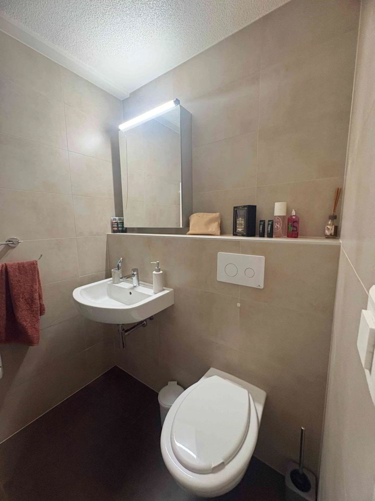 Appartement 2.5 pièces à louer à Massongex - image 1/6