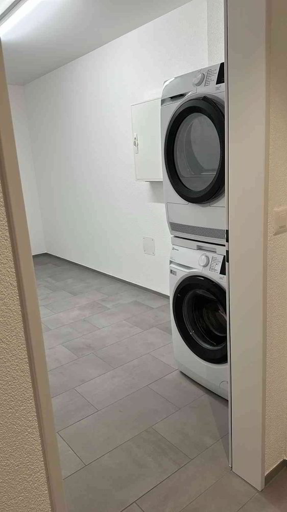 Appartement 3.5 pièces à louer à Wildegg - image 1/13