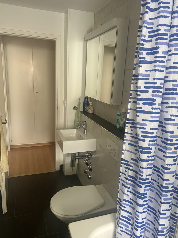 2.5 Zimmer Wohnung zu vermieten in Mollis - Bild 1/13