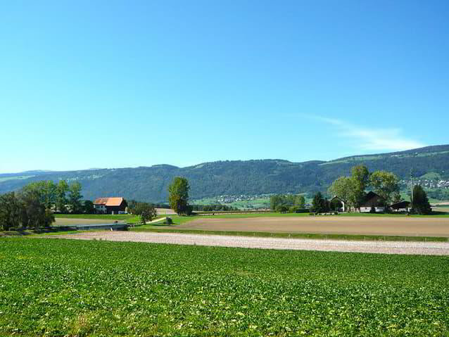 6 rooms House to buy in Grandson - image 1/4