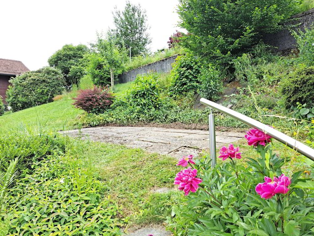 Appartement 2 pièces à louer à Kaufdorf - image 1/8