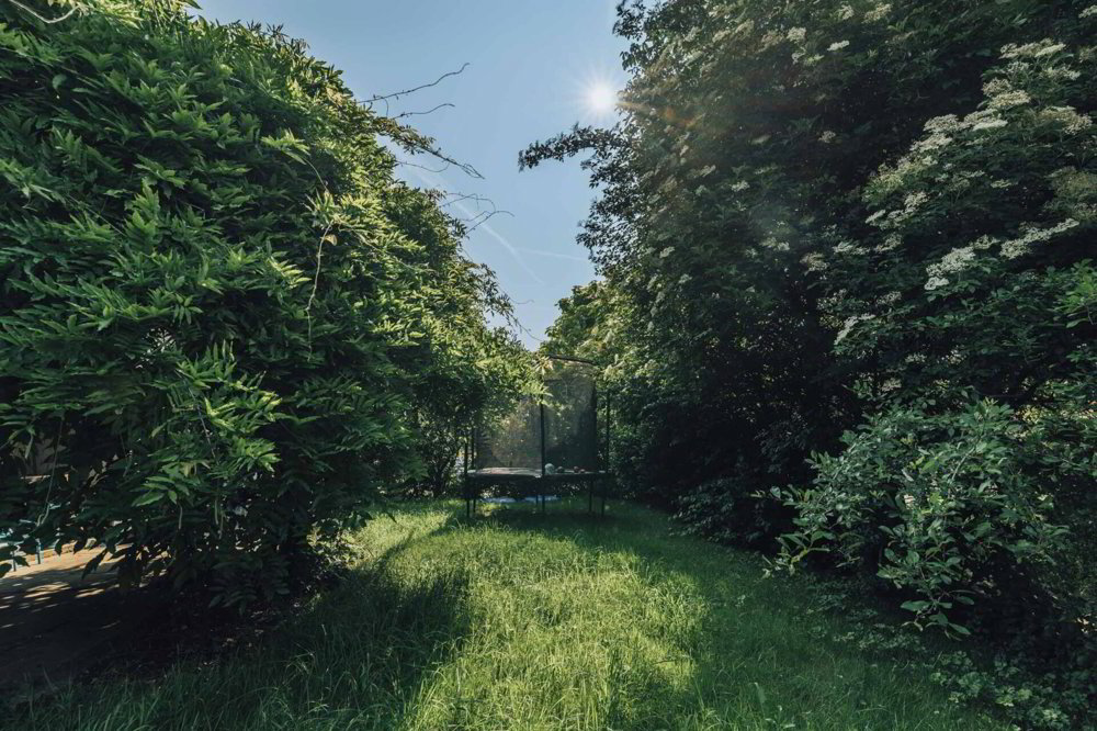 Casa di 6.5 locali in vendita a Kleindietwil - immagine 1/11