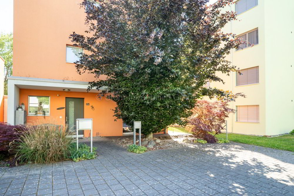 Casa di 5.5 locali in vendita a Rafz - immagine 1/22