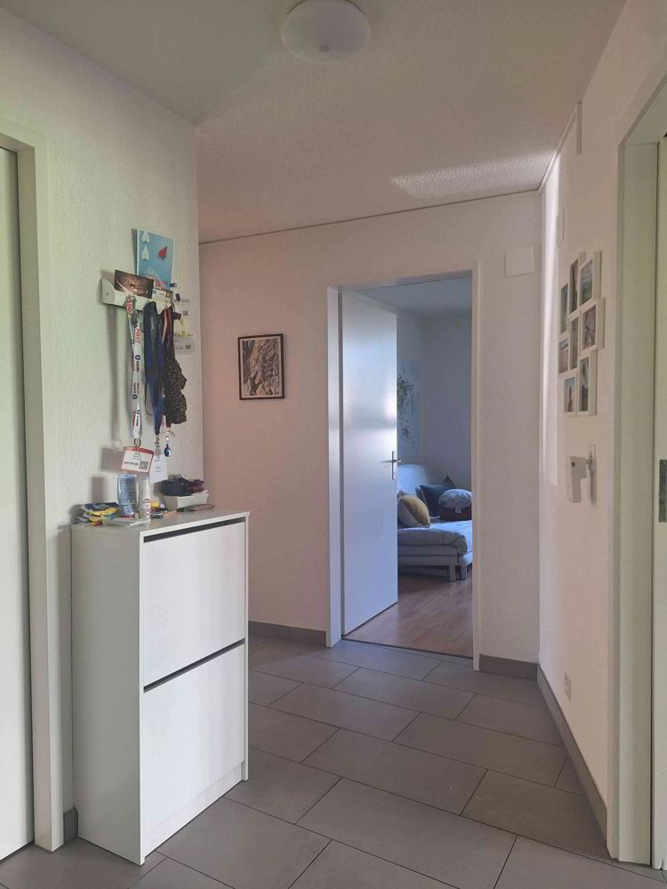 Appartement 4 pièces à louer à Adliswil - image 1/10