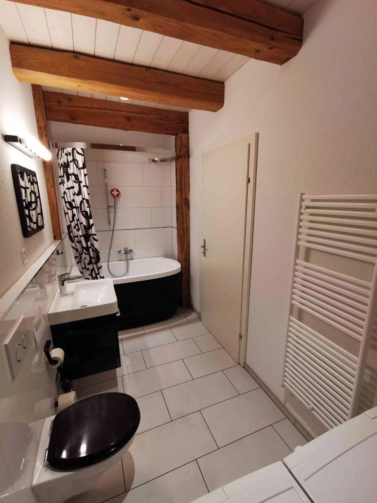 Appartement 3.5 pièces à louer à Mettmenstetten - image 1/13