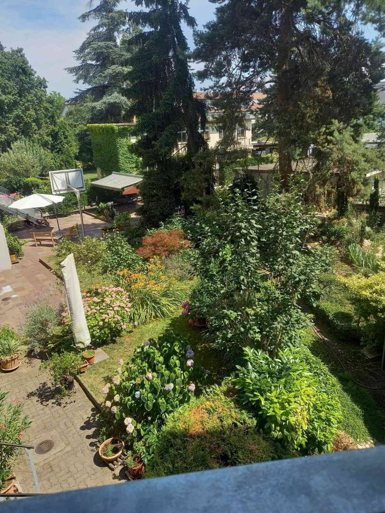 2 Zimmer Wohnung zu vermieten in Bâle - Bild 1/6