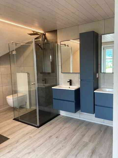 Appartement 2.5 pièces à louer à Siebnen - image 1/12
