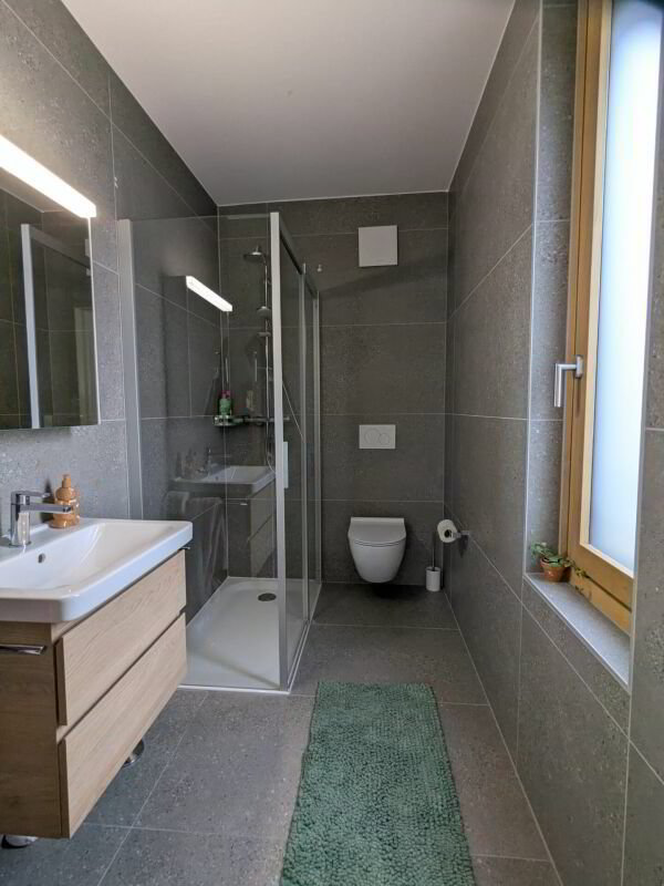 Maison 5 pièces à louer à Lausanne - image 1/12