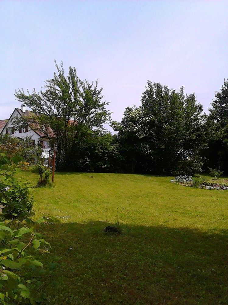 Haus – Wetzikon ZH, Oberwetzikon - Ansicht 2