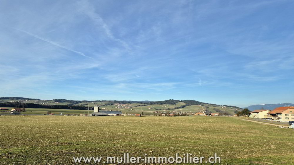 Casa di 7 locali in vendita a Vaulruz - immagine 1/13