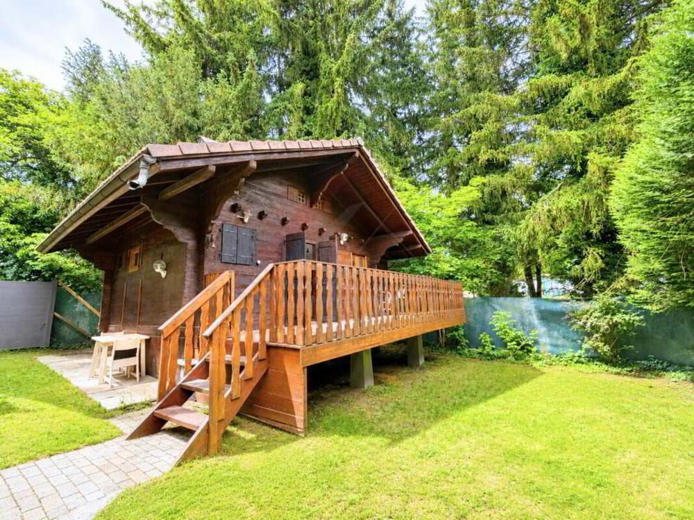 Rare opportunité - Chalet entièrement rénové à vendre à Lausanne