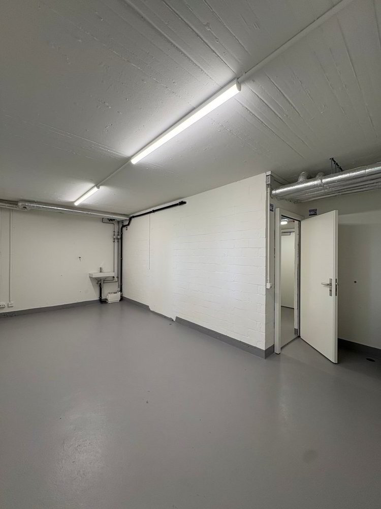Bureau & Commerce null pièces à louer à Pratteln - image 1/4