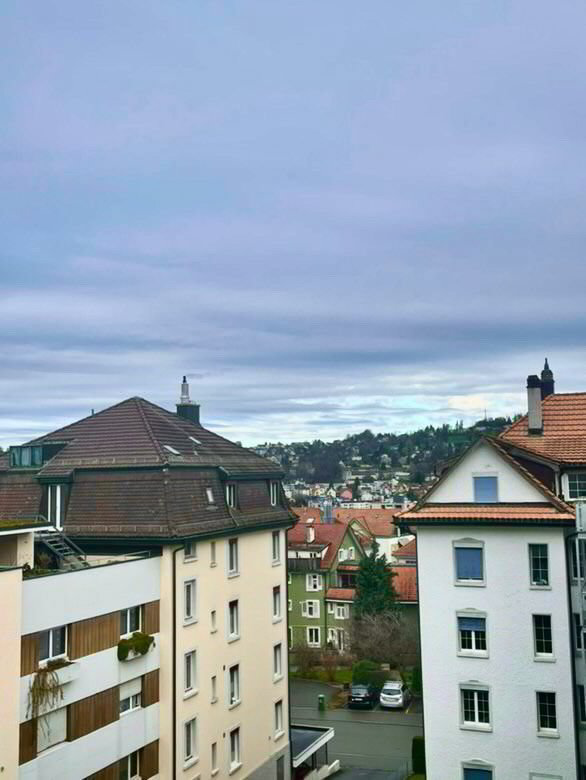1 Zimmer Wohnung zu vermieten in Saint-Gall - Bild 1/8