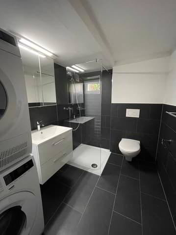 Appartement 3.5 pièces à louer à Guin - image 1/4
