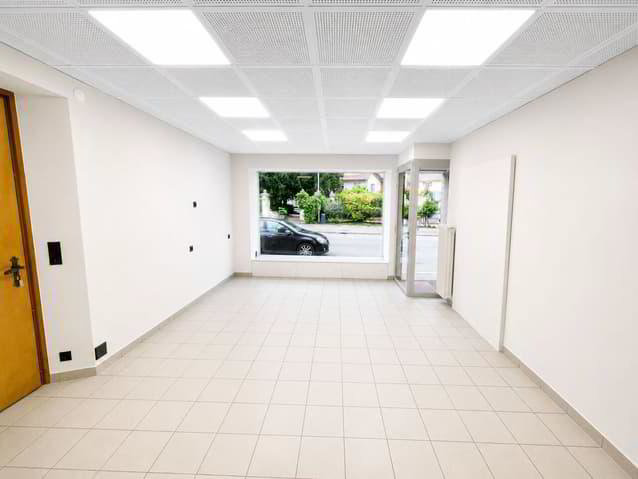 Bureau & Commerce null pièces à louer à Martigny - image 1/3