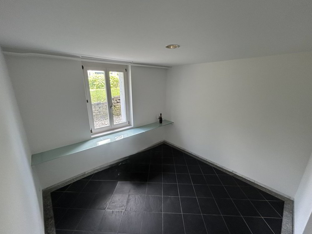 4 rooms Office & Commercial for rent in St. Gallen - image 1/9