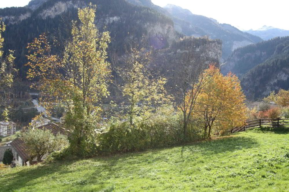 Terreno di null locali in vendita a Thusis - immagine 1/3
