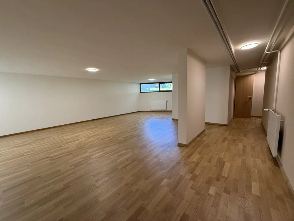 Maison 9 pièces à louer à Veyrier - image 1/13