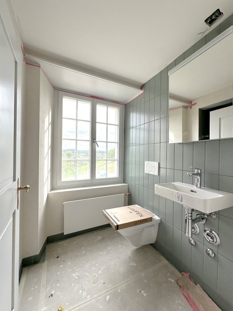 Appartement 4 pièces à louer à Unterengstringen - image 1/13