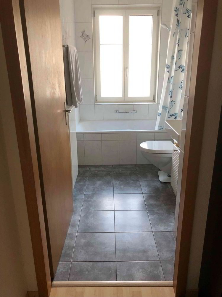 4.5 rooms Apartment for rent in Altdorf UR - image 1/8