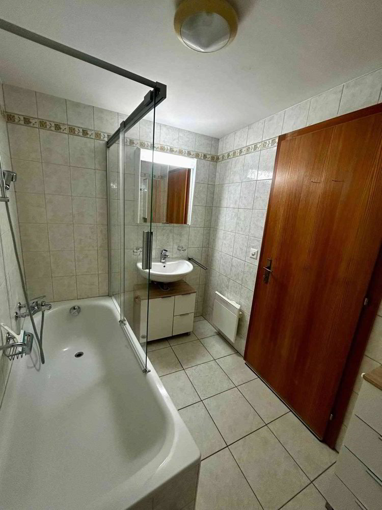 3.5 rooms Apartment for rent in Saxon - image 1/8