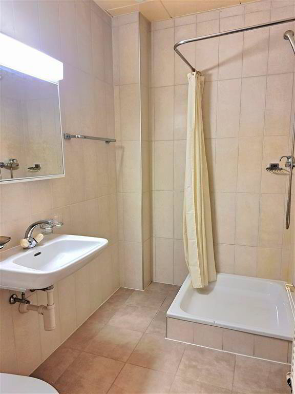 Appartement 2 pièces à louer à Collombey - image 1/7
