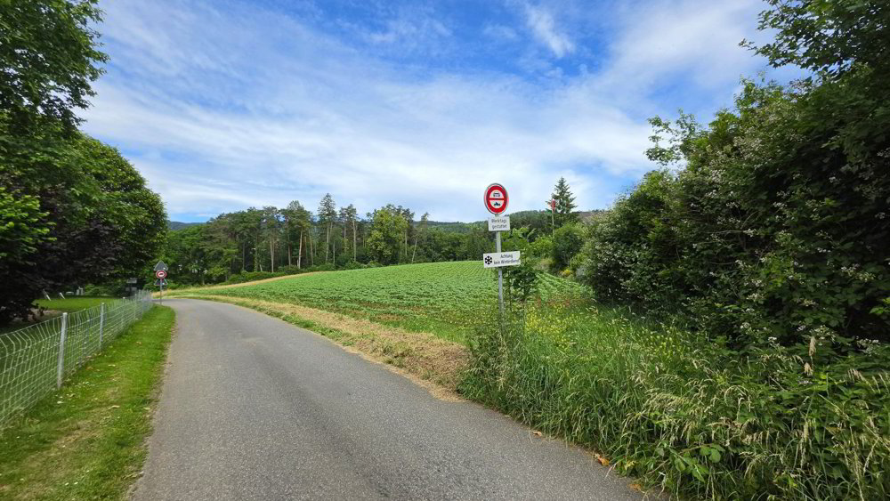 6.5 rooms House to buy in Lupsingen - image 1/13