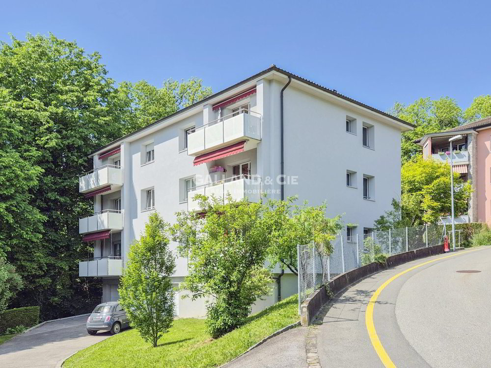 Appartamento di 3 locali in affitto a Lausanne - immagine 1/7