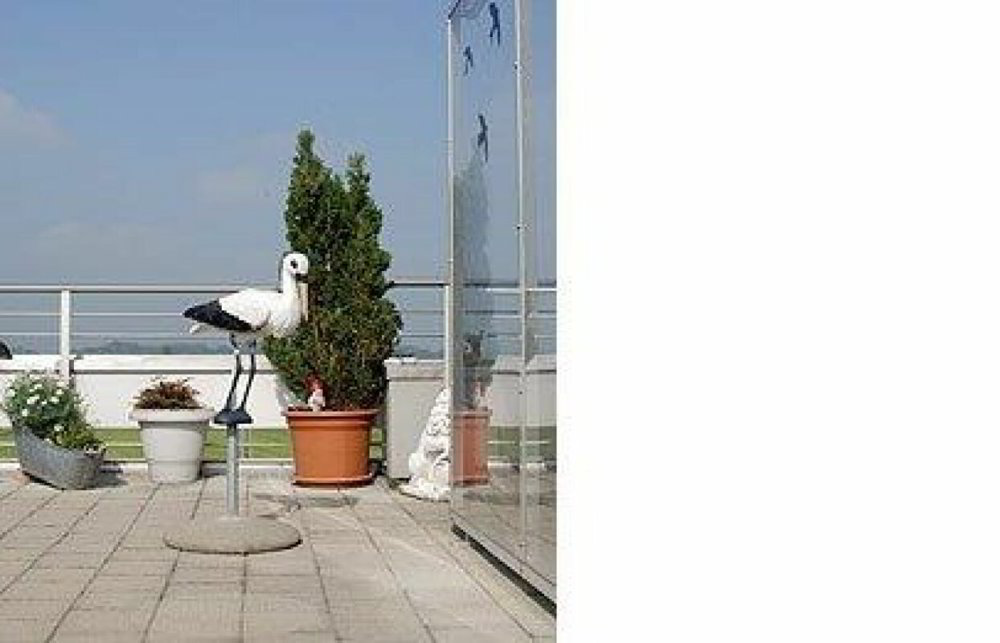 Appartement 4 pièces à louer à Gossau SG - image 1/7