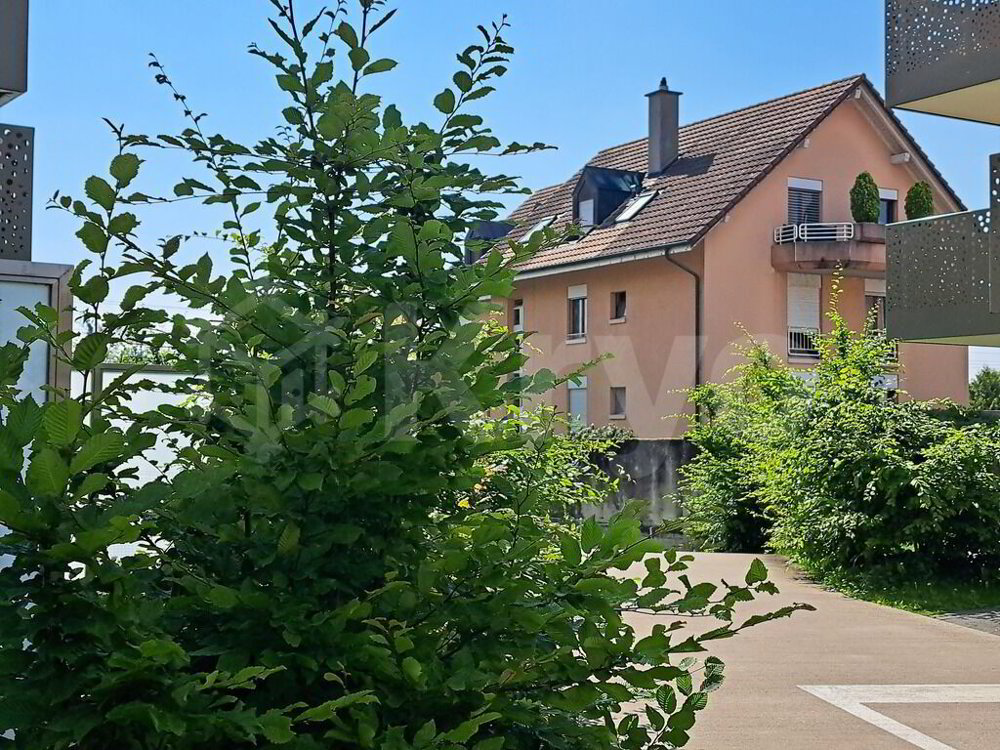Appartement 3.5 pièces à louer à Grandson - image 1/9