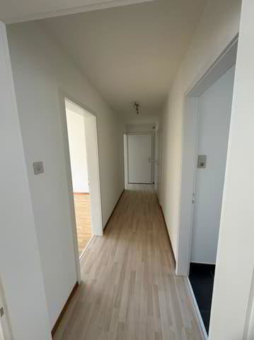 Ufficio & Commercio di null locali in vendita a Moutier - immagine 1/13