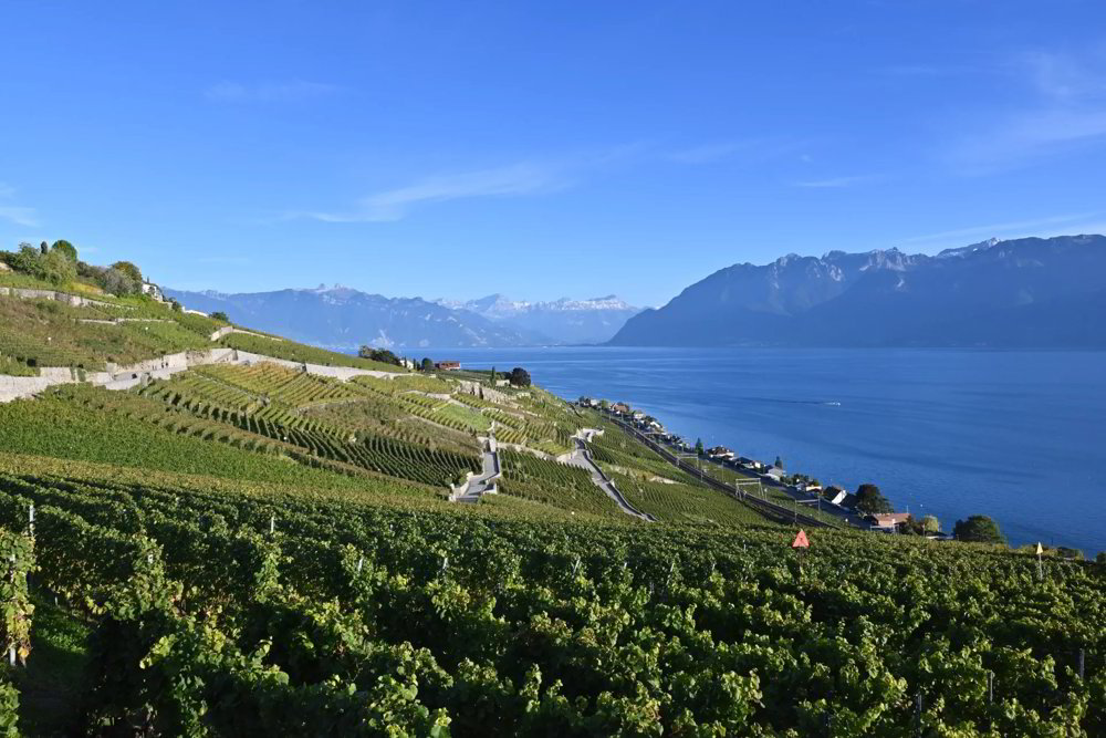 Appartamento di 4 locali in vendita a Grandvaux - immagine 1/13
