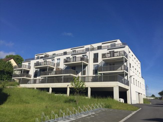 Appartement 3 pièces à louer à Niederwangen BE - image 1/1