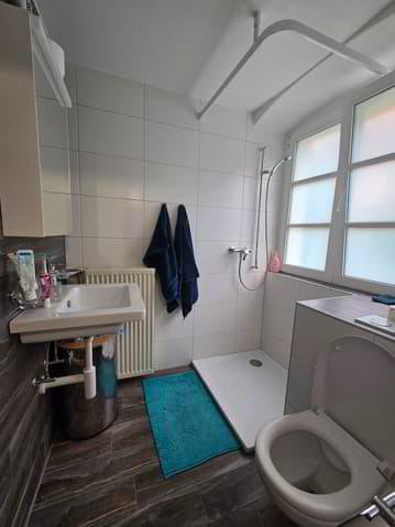 null Zimmer Wohnung zu vermieten in Delsberg - Bild 1/5
