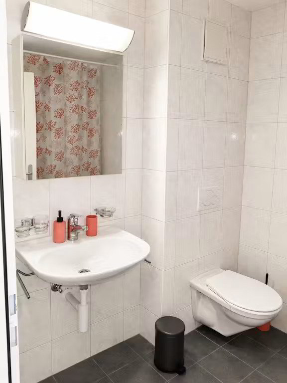 Appartement 1 pièces à louer à Bâle - image 1/10