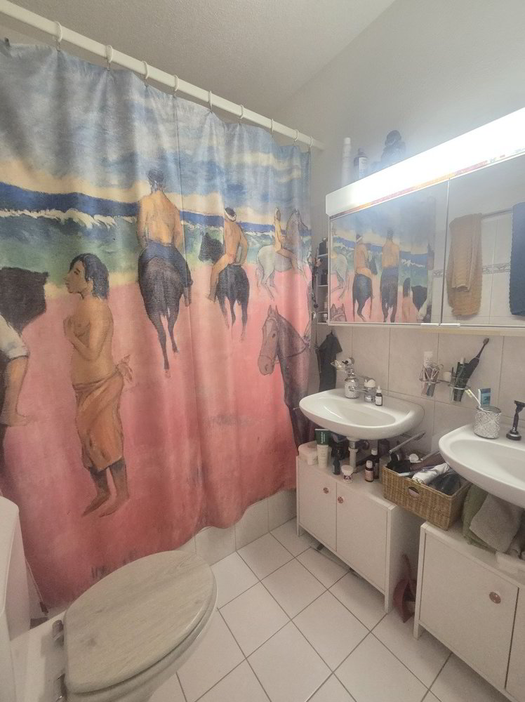 2 rooms Apartment for rent in Wädenswil - image 1/5