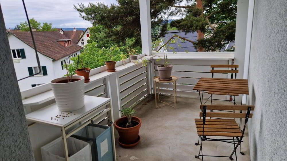Appartamento di 2 locali in affitto a Zürich - immagine 1/8