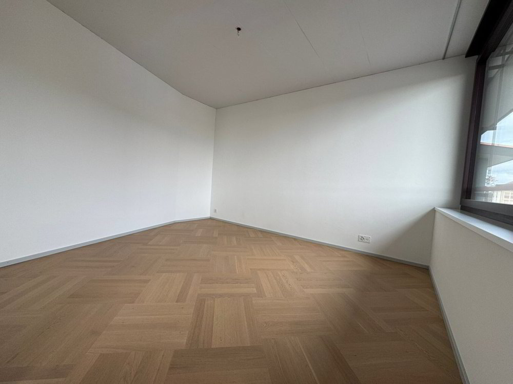 Appartement 3.5 pièces à louer à Dietikon - image 1/12