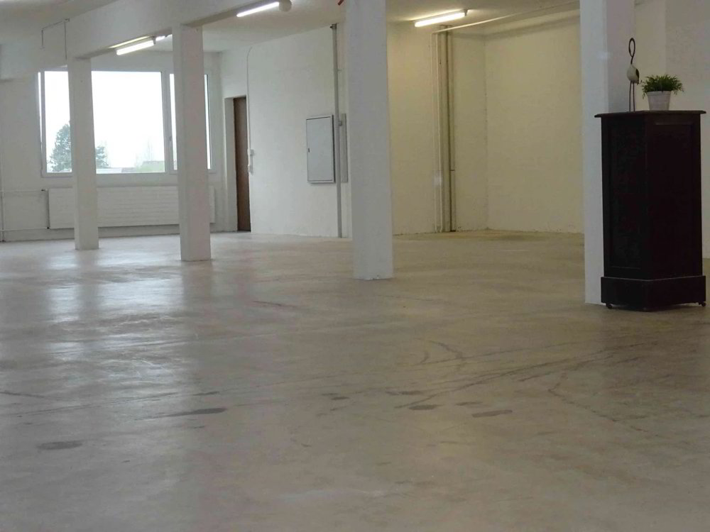 Bureau & Commerce 1 pièces à louer à Sarmenstorf - image 1/5